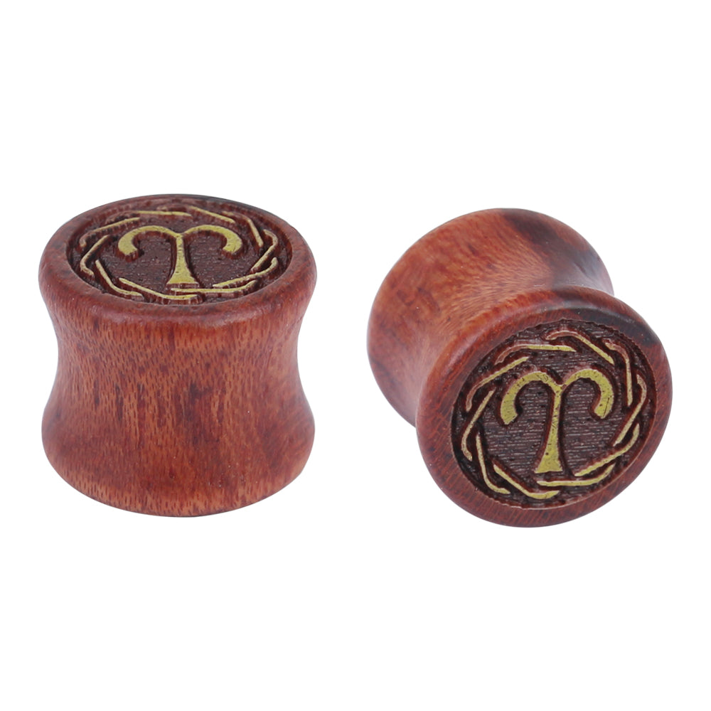 tunnels and plugs for ears